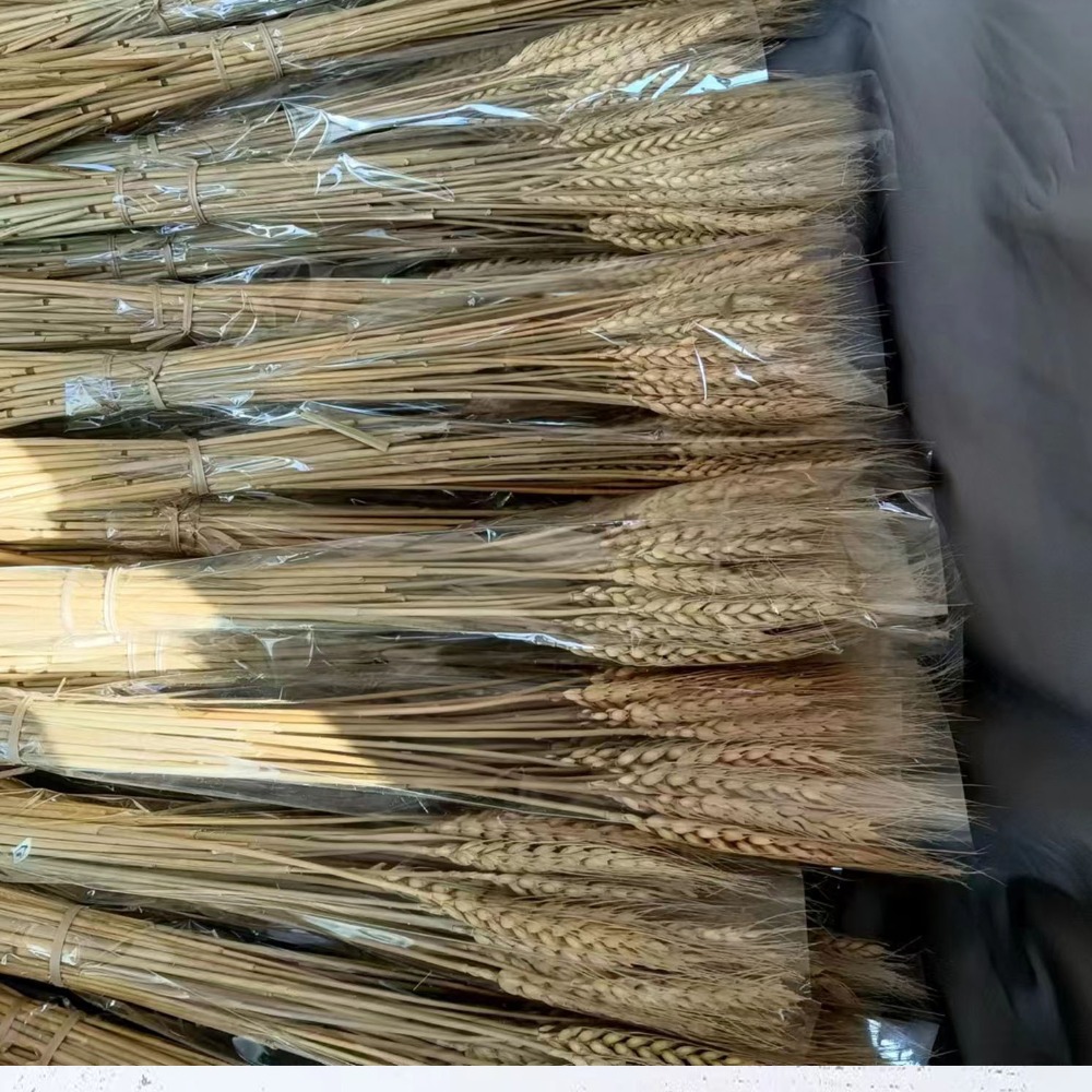 50pcs Artificial Flower Natura - Dried Flower Bulk ulasan dan harga