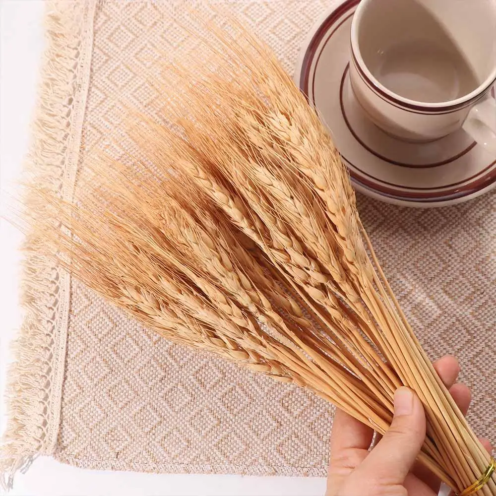 50pcs Artificial Flower Natura - Dried Flower Bulk ulasan dan harga