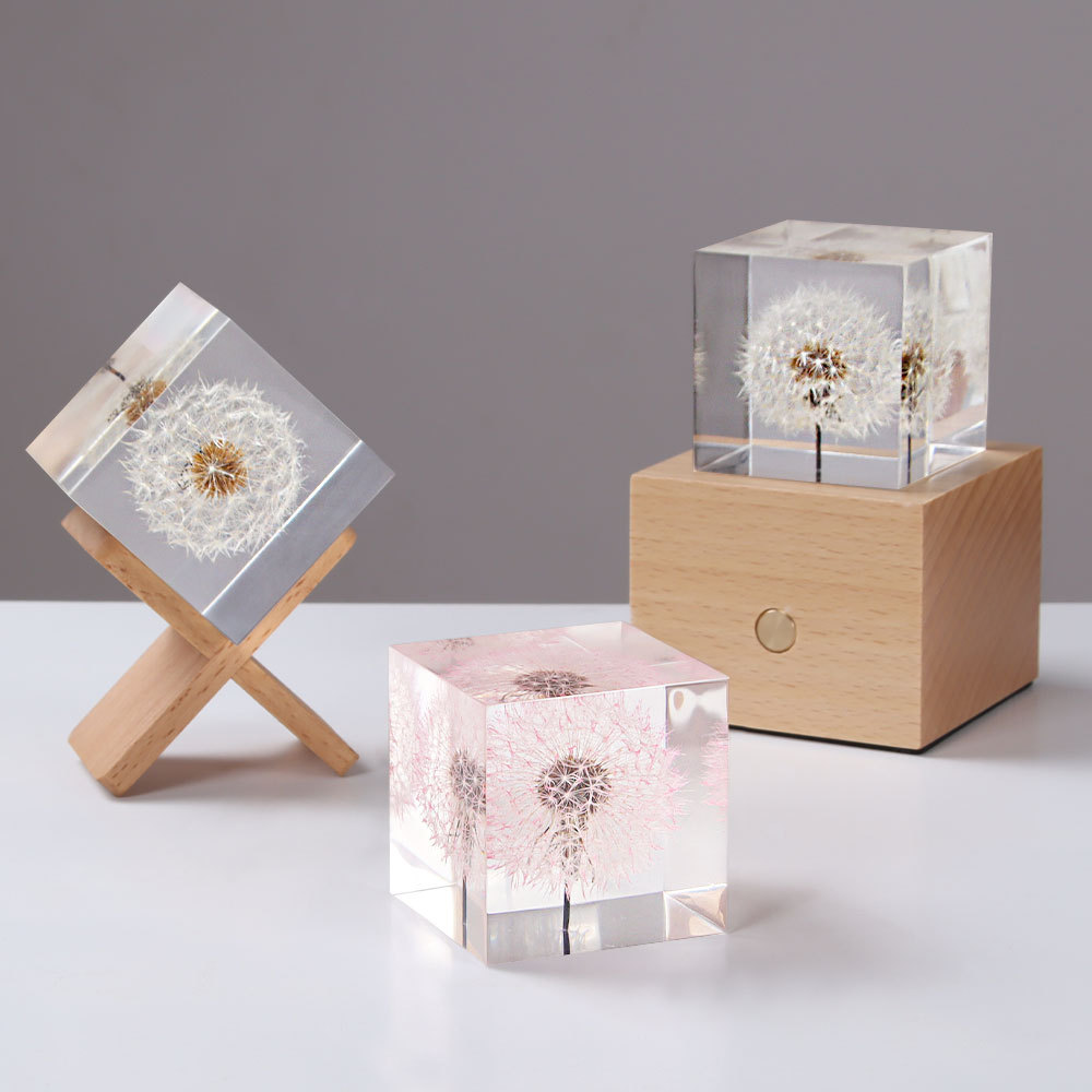 Dandelion preserved fresh flow - Flower Preservation Resin ulasan dan harga