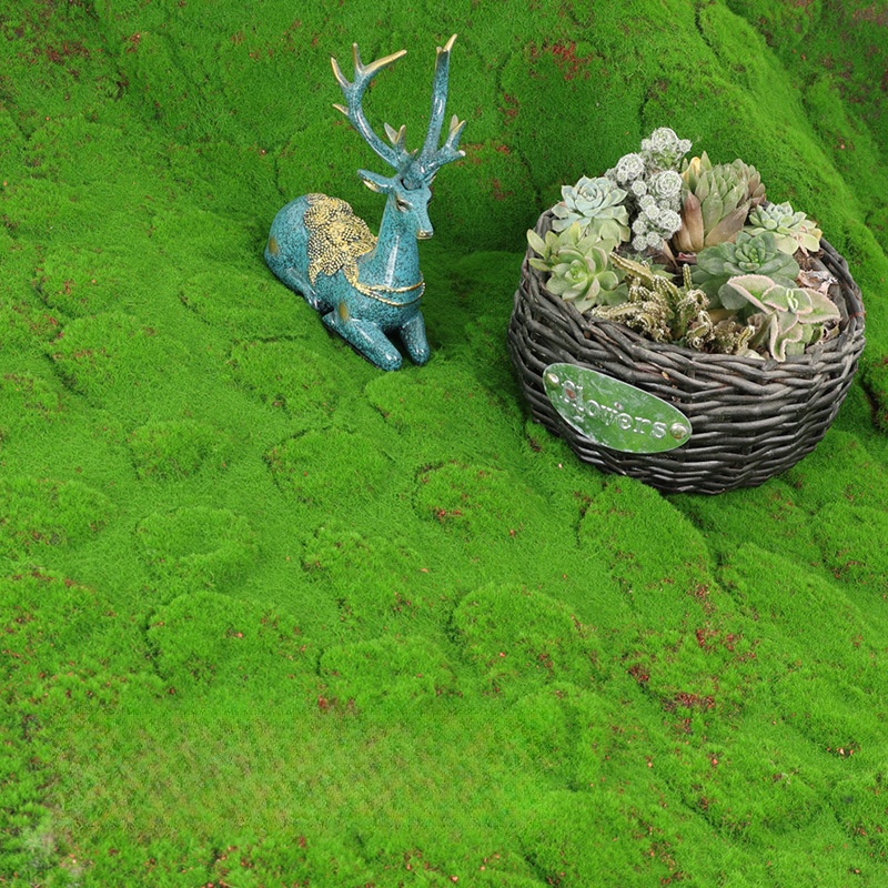 Artificial Turf Moss Simulatio - Terrarium Moss Art ulasan dan harga