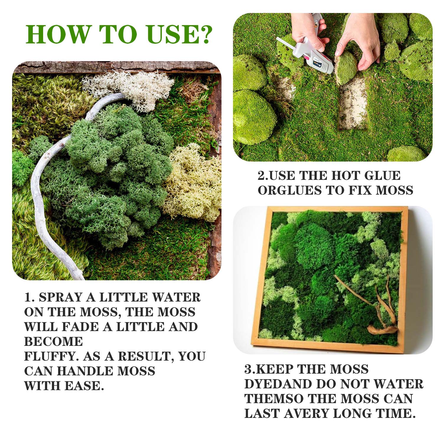 Artificial Green Plants Eterna - Terrarium Moss Art ulasan dan harga