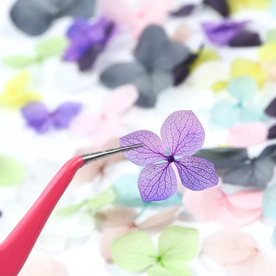 1Box Real Dried Flower Nail De - Dried Flower Bulk ulasan dan harga