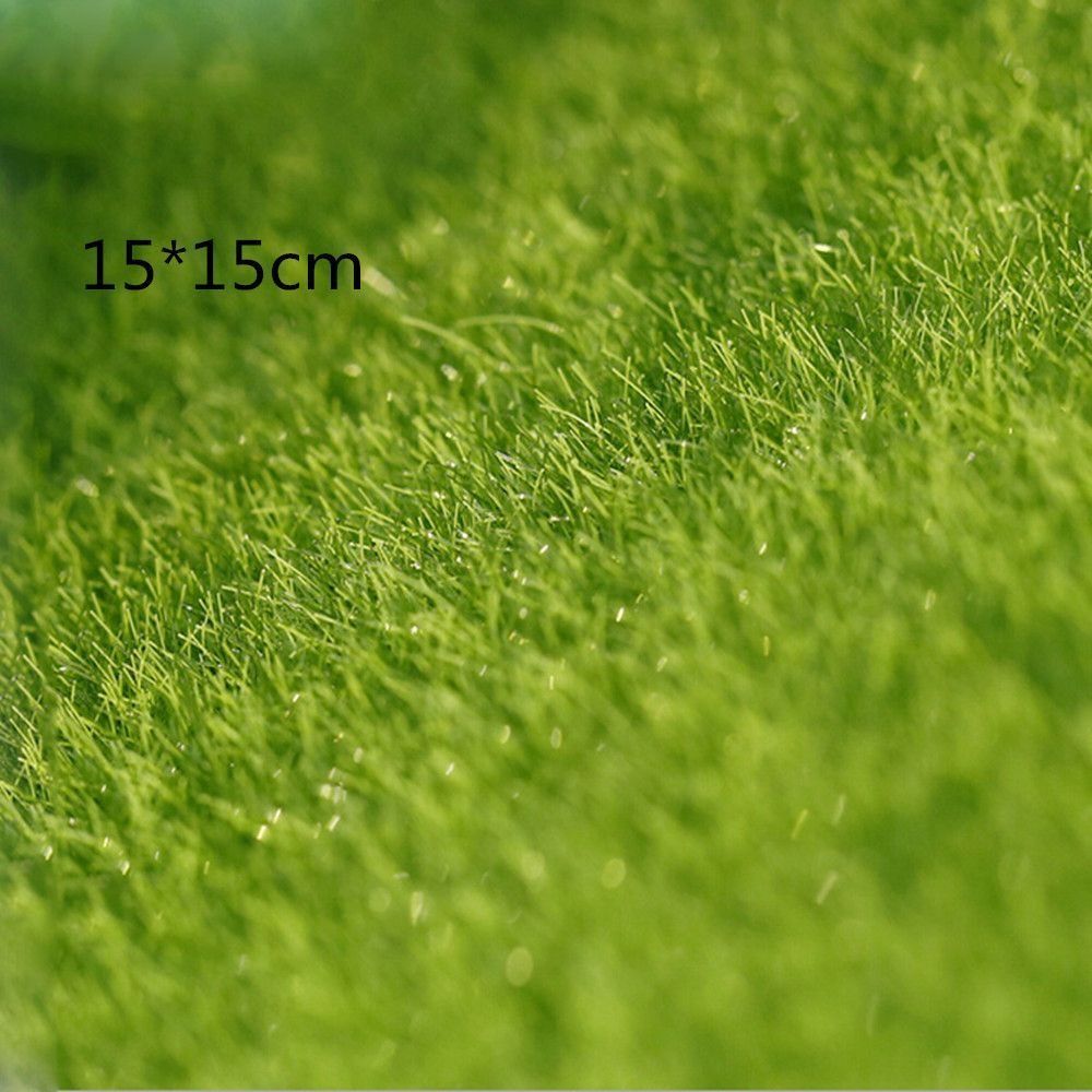 Ecological Lawn Decor Garden O - Terrarium Moss Art ulasan dan harga
