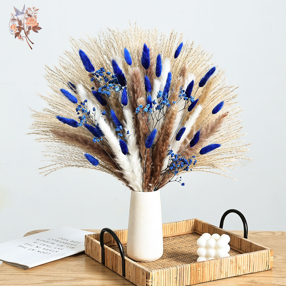 70 Stem Blue Fluffly Rabbit Ta - Dried Flower Bulk ulasan dan harga