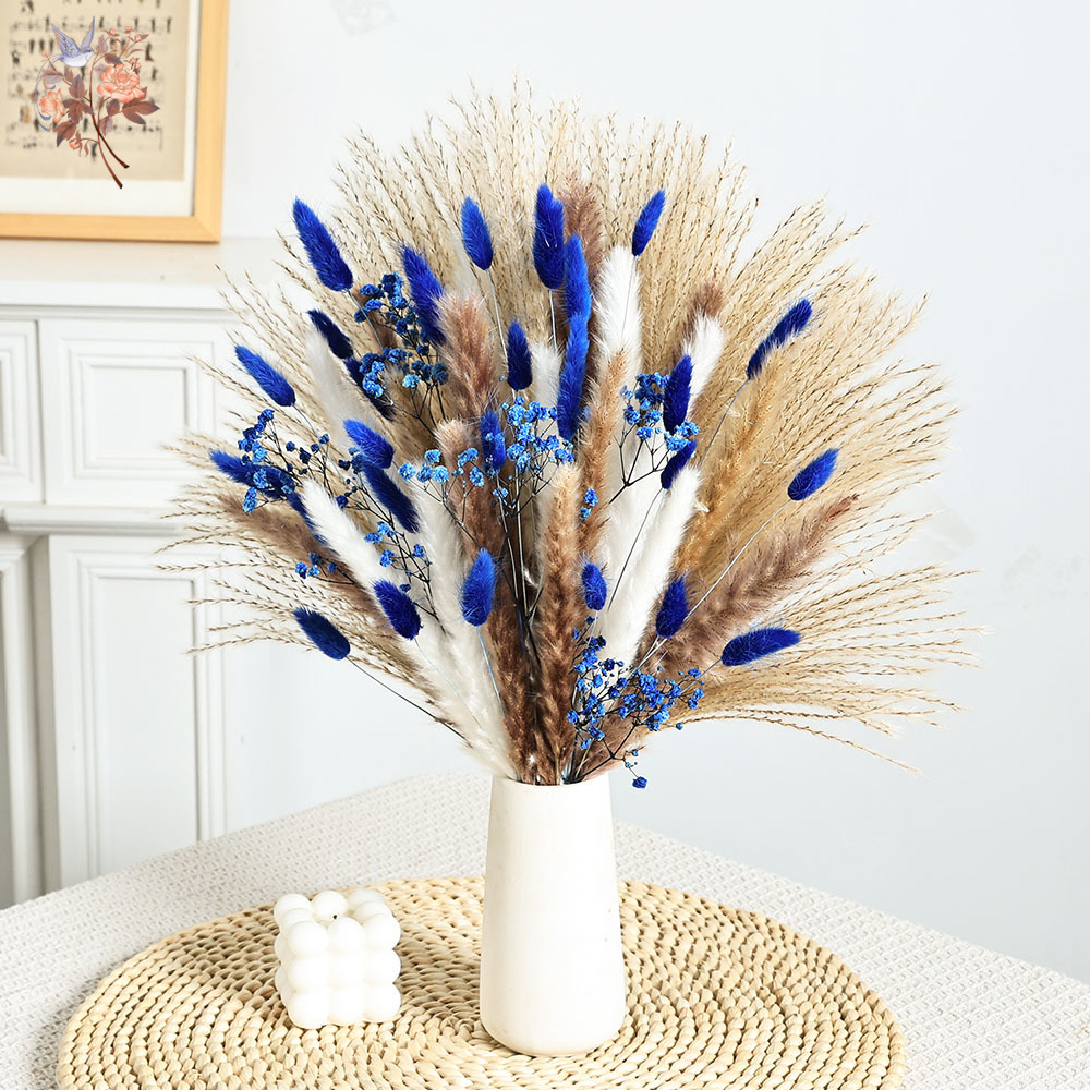70 Stem Blue Fluffly Rabbit Ta - Dried Flower Bulk ulasan dan harga