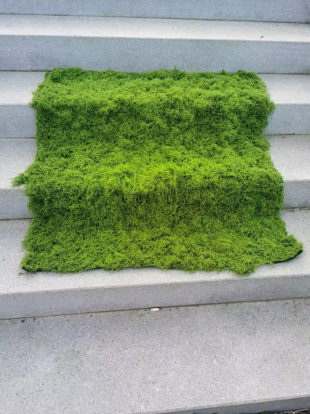 Aqumotic Artificial Turf Simul - Terrarium Moss Art ulasan dan harga