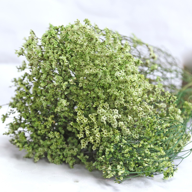 Natural Fresh Dried Preserved  - Dried Flower Bulk ulasan dan harga