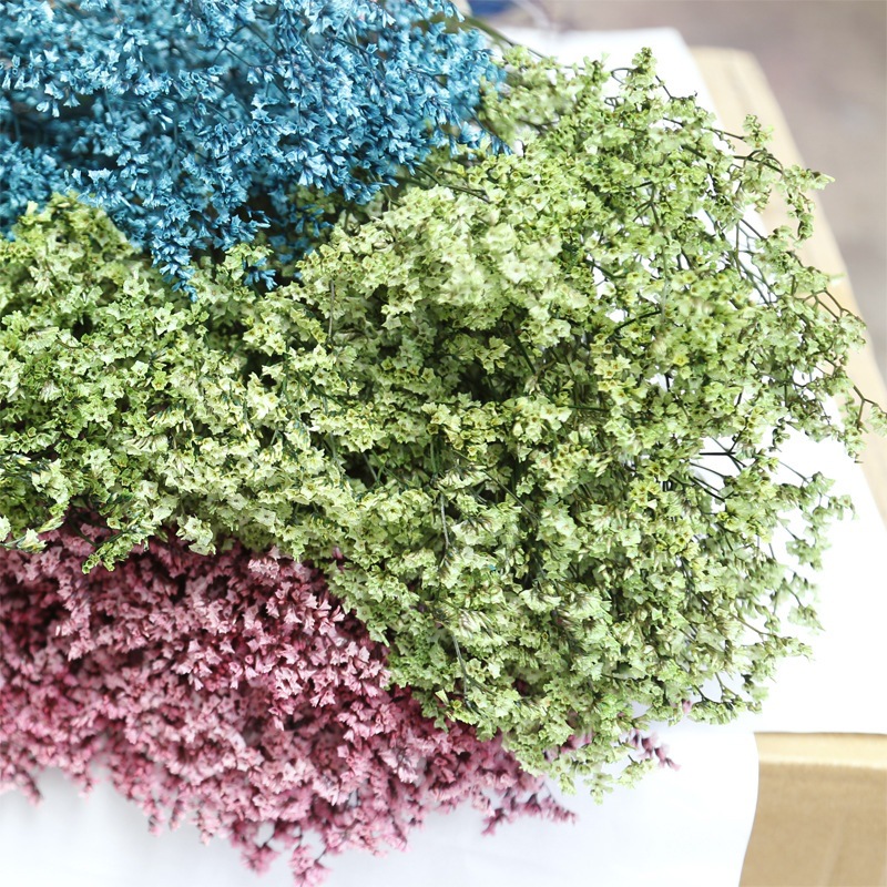 Natural Fresh Dried Preserved  - Dried Flower Bulk ulasan dan harga