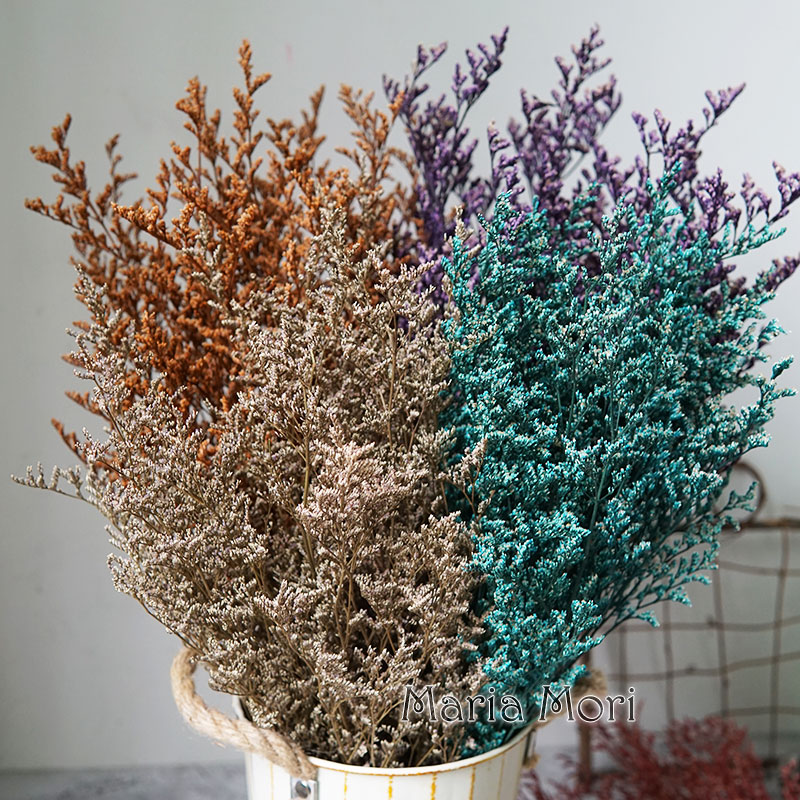 50g/Preserved Valentine's Gras - Dried Flower Bulk ulasan dan harga