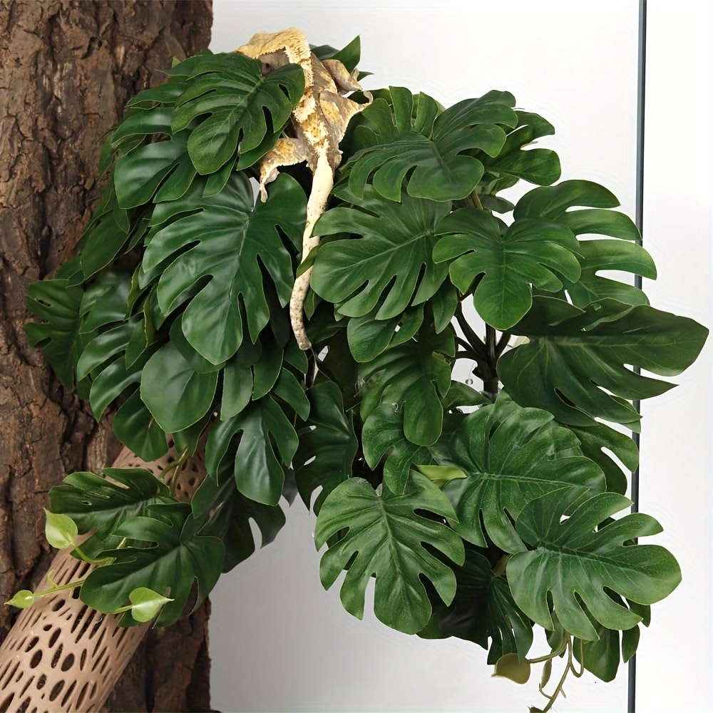 Reptile Plants for Terrarium A - Terrarium Moss Art ulasan dan harga