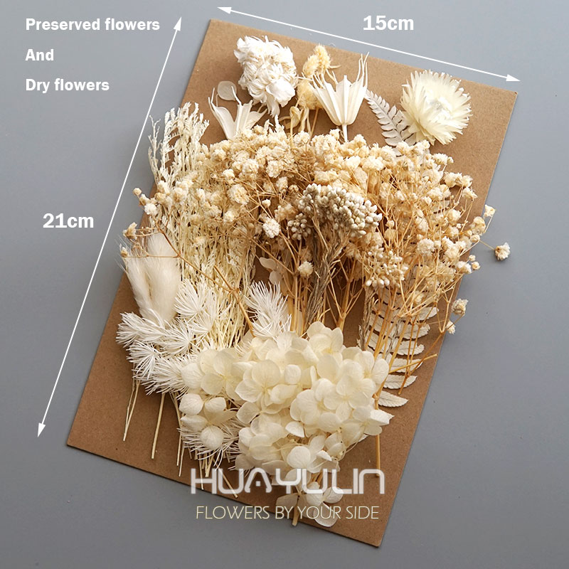1 Pack Artificial Plants Dried - Flower Preservation Resin ulasan dan harga