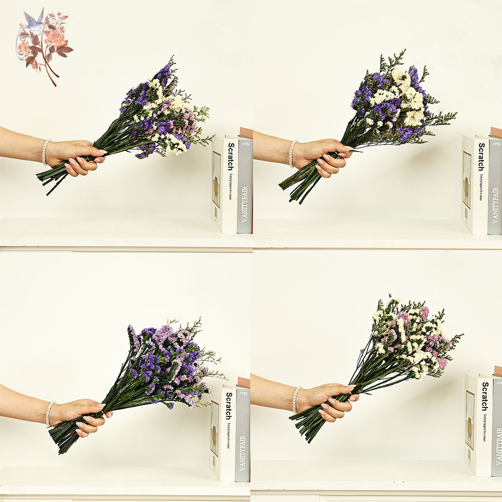 100g Natural Real Forget-me-no - Dried Flower Bulk ulasan dan harga