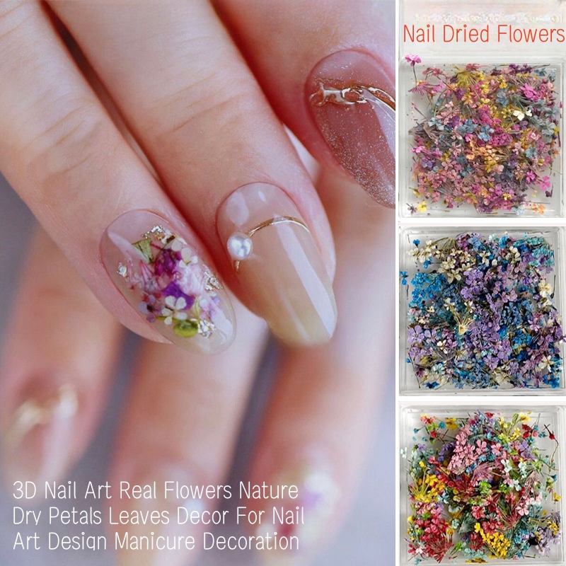 Mixed Small Dried Flowers Nail - Dried Flower Bulk ulasan dan harga
